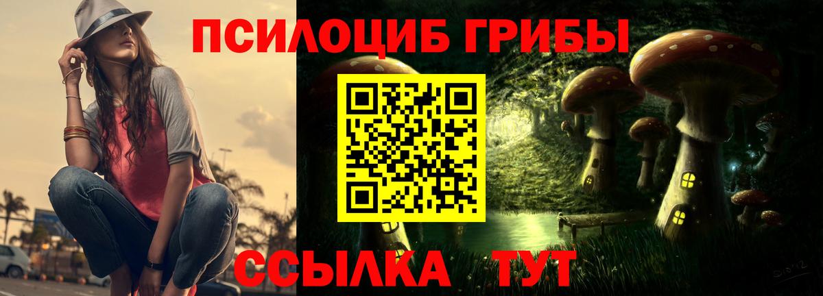 Ипатово  Псилоцибиновые грибы прущие грибы  Вход с VPN 